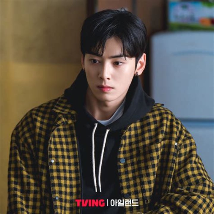 Cha Eun Woo History: The Rise of a Multi-Talented Star