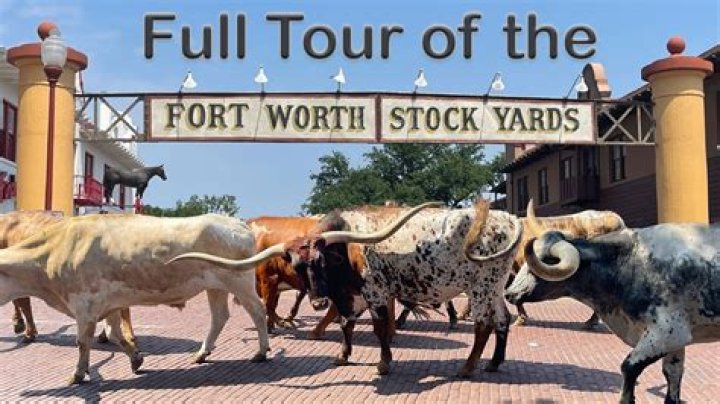 Exploring Fort Worth Stockyards: A Journey Through Texas History and Culture