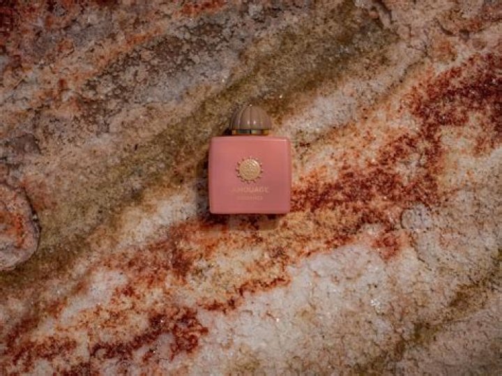 Exploring Robert Plant's Family: A Deep Dive into His Life and Legacy