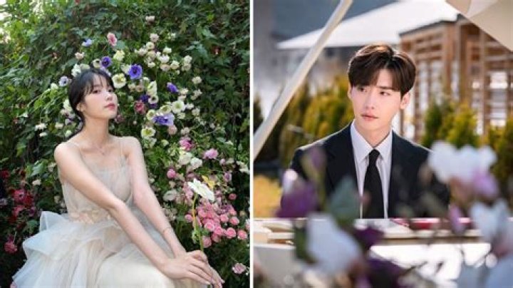 IU and Lee Jong Suk: A Deep Dive into Their Relationship and Careers