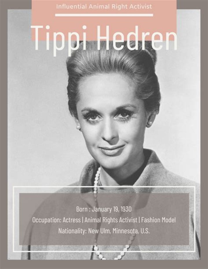 Tippi Hedren: The Iconic Actress and Animal Rights Activist